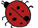 little-ladybug