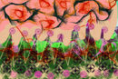 untitled-1