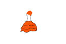 orange-dress