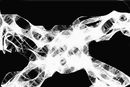 web