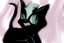 crazy-kitten