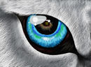 the-truth-of-the-blue-