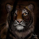tiger-in-cage tiger-in-cage