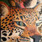 leopards by Firestar