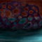 dreamcatcher-on-sea by LuMind