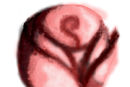 rose rose