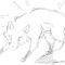 fox-sketch by X3Innocent
