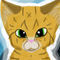 finished-cat by blackheart
