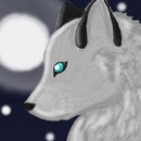 wolf-in-the-moonlight
