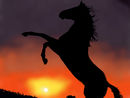 caballo