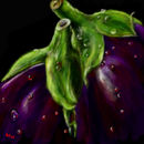 two-aubergines two-aubergines