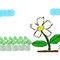 flower by Thomus