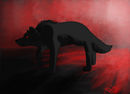 darkness-follows