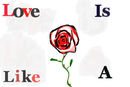 love-is-like-a-rose