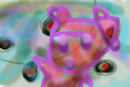 random random
