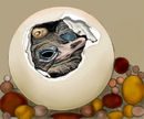 to-peep-or-not-to-peep