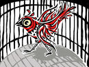 cardinalis-cardinalis