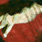 studio-cat by viridian