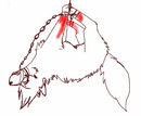 hanging-by-a-thread-nf