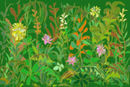 wild-plants