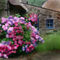 old-country by betty72