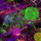 big-bang by danila