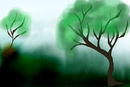 foggy-day