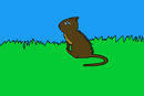 rainpelt