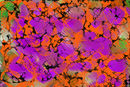 untitled-1 untitled-1