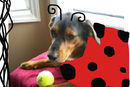 ladybug-sparkle-dog-in