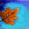 fallen-leaf by donacac