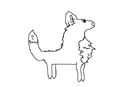 wolf-collie-thing