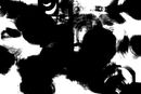 untitled-1