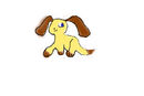 dog dog