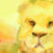 limpression-of-a-lion by mensura