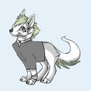 cilan-my-white-lupus