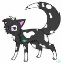 sagepaw-a-skc-apprenti