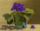 grandmas-violets