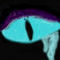 the-dragon-eye by Creative22