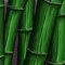bamboo by incendium89