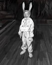 iam-a-rabbit