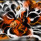 tiger by katy