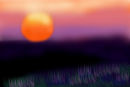 untitled-1