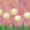 flowers by sofya