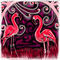 pinkness by mudpuddle