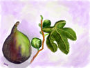 sweet-fruit