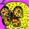 leapord-butterfly by kimie21