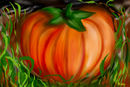pumpkin-time