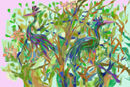 paradisebirds
