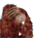 frustrated-monkey